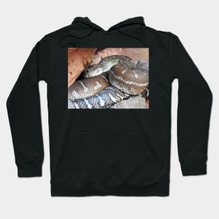 Centralian Carpet Python Hoodie